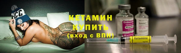прущие грибы Волоколамск