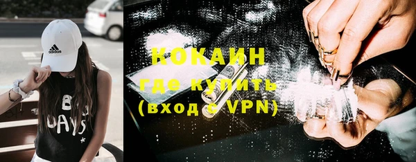 прущие грибы Волоколамск