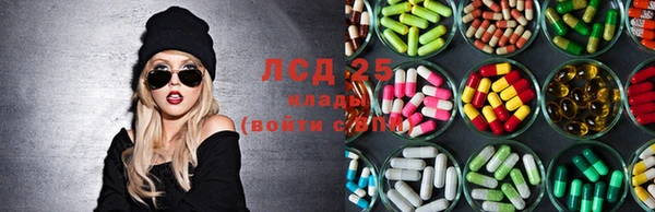 прущие грибы Волоколамск