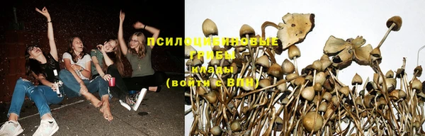 мдпв Вязники