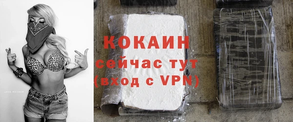 прущие грибы Волоколамск
