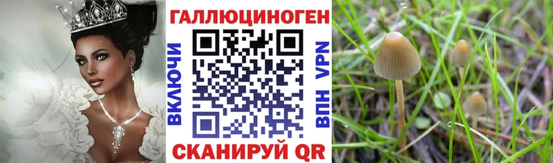 Псилоцибиновые грибы Cubensis  Артём 